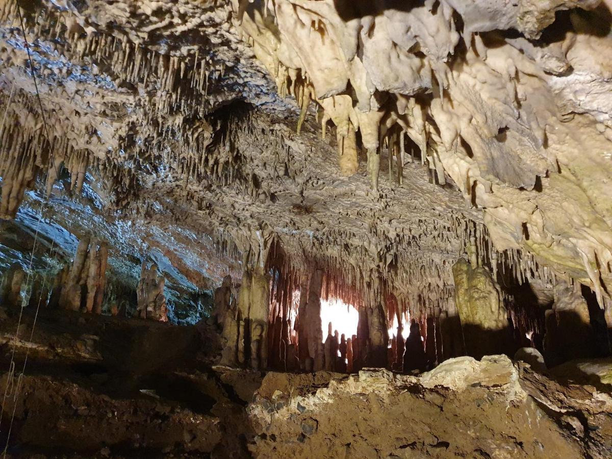 Gite La Petite Ourse - Gite De Charme Citadin Andenne Zewnętrze zdjęcie