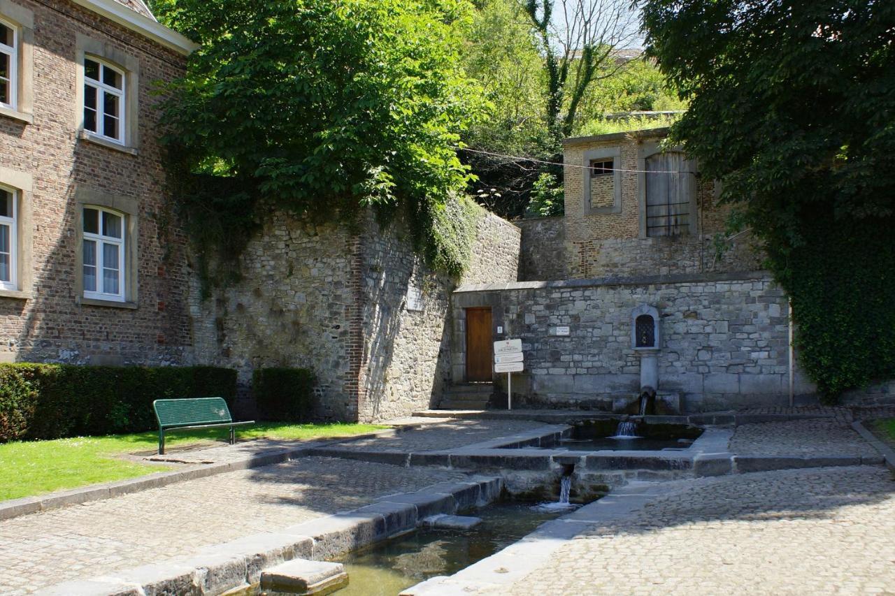 Gite La Petite Ourse - Gite De Charme Citadin Andenne Zewnętrze zdjęcie
